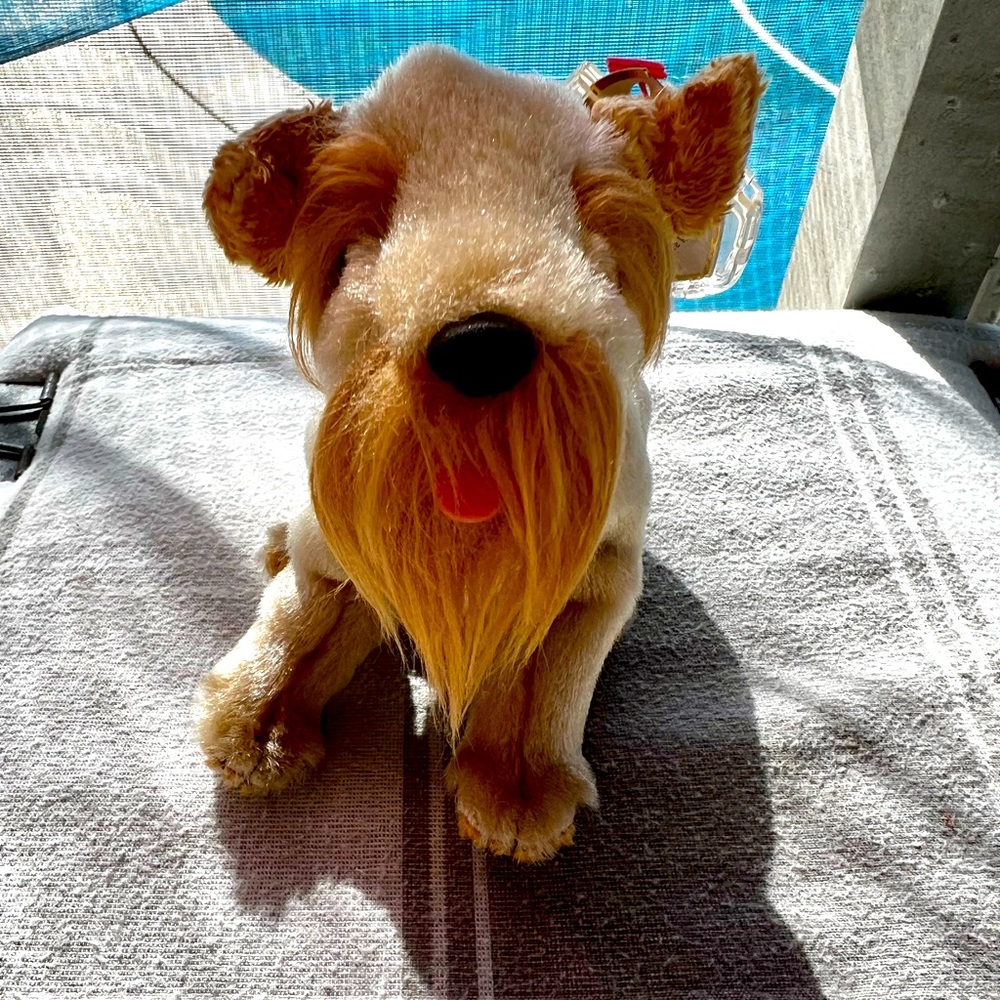 ‘Schnitzel’ Retired Beanie Baby Collectable Dog Shnauzer Plush Toy